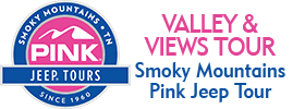Pigeon Forge Valleys & Views Smoky Mountains Pink Jeep Tour