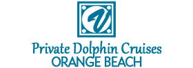 Private Dolphin Cruises in Orange Beach