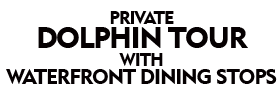 Private Dolphin Tour with Waterfront Dining Stops 2022 Schedule