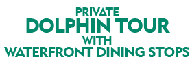Private Dolphin Tour with Waterfront Dining Stops