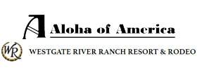 Real Rodeo Western Ranch Adventure