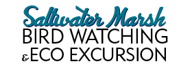 Saltwater Marsh Bird Watching & Eco Excursion 2022 Schedule