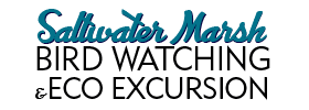 Saltwater Marsh Bird Watching & Eco Excursion