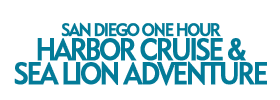 San Diego Harbor Cruise with Sea Lion Sighting