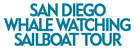 San Diego Whale Watching Sailing Tour 2019 Schedule