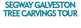 Segway Galveston Tree Carvings Tour