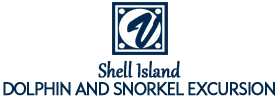 Shell Island Dolphin and Snorkel Excursion