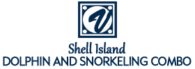 Dolphin Encounter and Snorkeling Combo