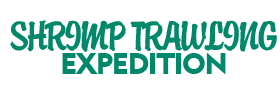 Shrimp Trawling Expedition