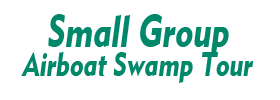 Small Group Airboat Swamp Tour