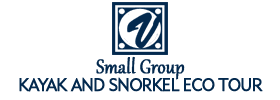 Small Group Kayak and Snorkel Eco Tour