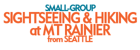 Small-Group Sightseeing and Hiking at Mt Rainier from Seattle