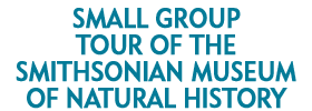 Small Group Tour of the Smithsonian Museum of Natural History