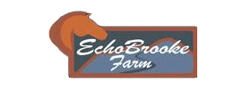 Smoky Mountain Picnic & Romantic Carriage Rides