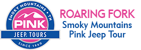 Smoky Mountains Roaring Fork 2.5 HOUR Pink Jeep Tour
