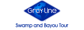 Swamp and Bayou Tour