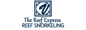 The Reef Express: Reef Snorkeling