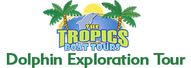 Clearwater Dolphin Cruise 2022 Schedule