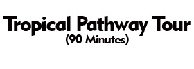 Tropical Pathway Tour (90 Minutes) 2022 Schedule