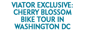 Cherry Blossom Bike Tour