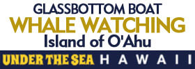 Whale Watching Tour on a Glassbottom Boat on the Island of Oahu in Kapolei, Hawaii