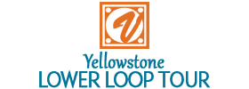 Yellowstone Lower Loop Tour 2018 Schedule