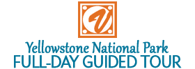 Yellowstone National Park Full-Day Guided Tour 2018 Schedule