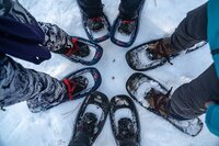 Snowshoe Hike to Pauly's Poin...