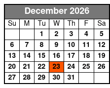 Michael Jackson The Illusion Christmas Featuring Michael Knight - Preferred Seating December Schedule