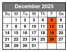 Ray On My Mind Christmas Show December Schedule
