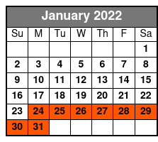 The Track Family Fun Parks January Schedule