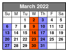 Dancing Queen Ultimate 70s Show March Schedule