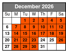 Christmas Lights Van Tour  December Schedule
