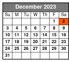 Escape Reality Magic & Illusions Dinner Show December Schedule