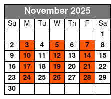 Back To the Bee Gees November Schedule