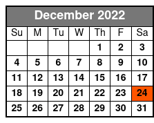 ReVibe Show December Schedule