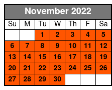Downtown Nashville 2.5 Hour Segway November Schedule