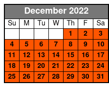 Downtown Nashville 2.5 Hour Segway December Schedule