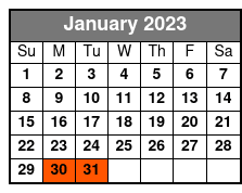 Music City Snapshot January Schedule