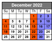 Christmas Light Tour December Schedule