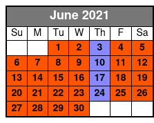 The New Nashville City Tour June Schedule