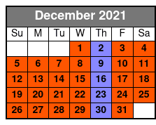 The New Nashville City Tour December Schedule