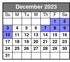 Nashville, TN Carriage Rides December Schedule