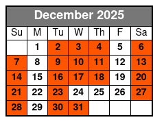 Private Full Day Tour & Ticket December Schedule