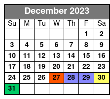 Williamsburg Segway Tours December Schedule
