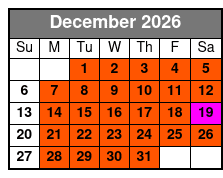 History of Slavery Tour in Williamsburg December Schedule