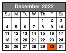 Busch Gardens Williamsburg Christmas Town Evening Single Day Ticket  (Reservations Required) December Schedule