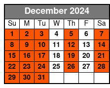 Kennedy Space Center Direct Express December Schedule