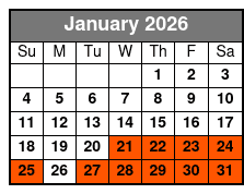 Private Helicopter Night Tour in Orlando Park Fireworks January Schedule