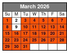 Private Helicopter Night Tour in Orlando Park Fireworks March Schedule
